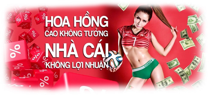 Có tỷ lệ % hoa hồng cao tại khuyến mãi Mibet